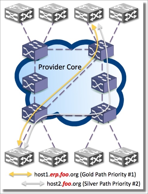 TE-OpenFlow-DNS