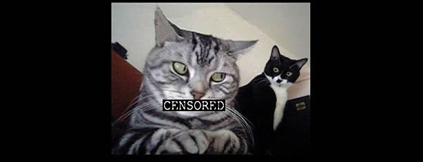 Censored Kitty Cat